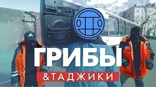 Таджики 