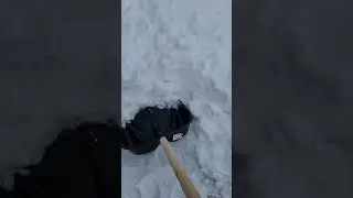 @деревня @зима @деревенскаяжизнь За одну ночь и столько снега🫣😁