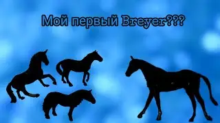 Мой первый Breyer???/Распаковка лошадей Schleich, Bullyland и Breyer