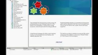 VMware Guest Console Demo - Part 1