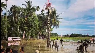LOMBA PANJAT PINANG DI SAWAH BIKIN HEBOH | KIBARAN BENDERA || 17 AGUSTUS