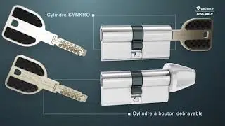 Cylindre varié nickel mat 3 clés 7101 Radialis - VACHETTE