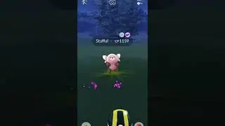 who's that Pokemon ? 100% iv amazing 🤩    #Pokemongo
