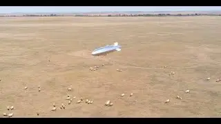 WildCap Project Field Experiments, Summer 2024