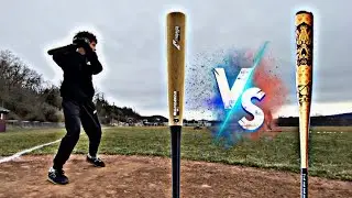 Demarini D243 wood bat V.S 2023 Voodoo One