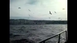 Martılar- Karşıyaka- Konak vapuru- 2013-02-01