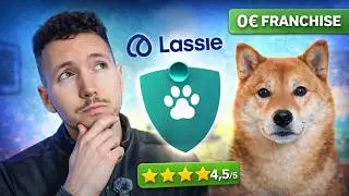 My opinion on Lassie: the BEST pet insurance for dogs?