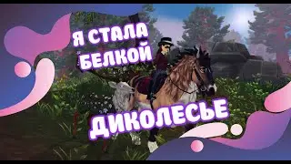 ОБЗОР НОВОЙ ЛОКАЦИИ ДИКОЛЕСЬЯ/Я СТАЛА БЕЛКОЙ