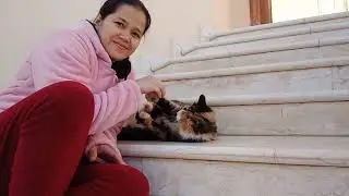 My adorable cat likes to play my lace.