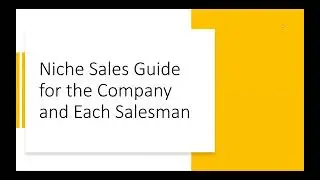 Niche Sales Guide for the Company and Each Salesman