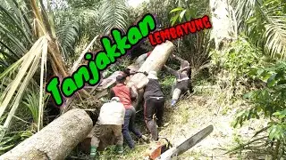 Tanjakkaan Exstrim Boss Turun Tangan ?!