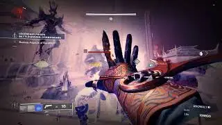 The Weirdest Destiny 2 Glitch You Will Ever See
