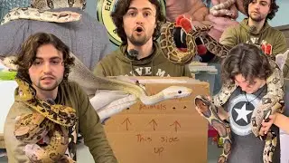 My First ALL SNAKE UNBOXING!