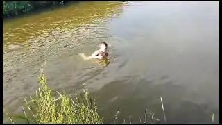 Қобда өзені. Суға шомылу.