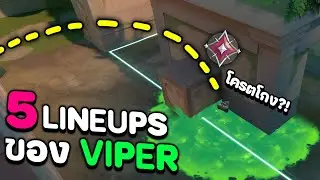 5 Lineups Viper ด่าน 