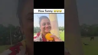 это ж надо такое придумать