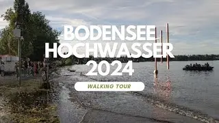 Bodensee Hochwasser 2024 Compilation // Bregenz - Konstanz - Schweiz