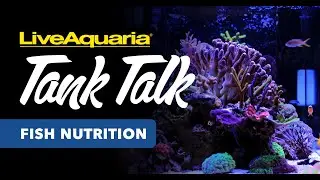 LiveAquaria Tank Talk - Fish Nutrition