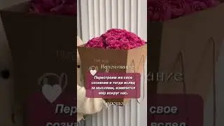 Утро доброе