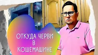 Черви в кофемашине. Откуда появились. Что делать ?