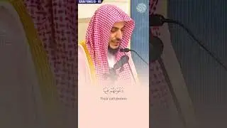 From Surah Yunus by Sheikh Waleed Al Shamsan | A Beautiful Present 💝🎧☘️ #shorts #quran #islam