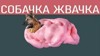 Собачка Жвачка - Dog Gum