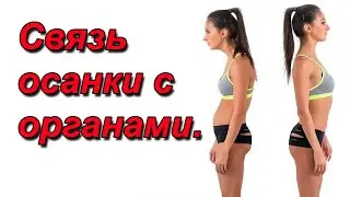 Правильная осанка.Связь с внутренними органами.