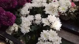 Калитниковское кладбище. Здесь покоится Блаженная старица схимонахиня Ольга Ложкина ☦️.