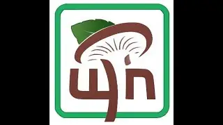 Предприятие по производству грибов в Красноярске
