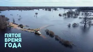 На пакрафте по лесу - ПЯТОЕ ВРЕМЯ ГОДА