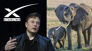 Elon Musk Starlink internet finally comes to Zimbabwe and 24 African countries