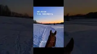 ❄️#лошади#конныйспорт#моялюбовь#рекомендации#подпишись#мояжизнь