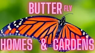 CREATE Monarch Butterfly and Native pollinator HABITAT. Interview.