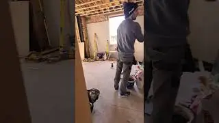 Project update week 12