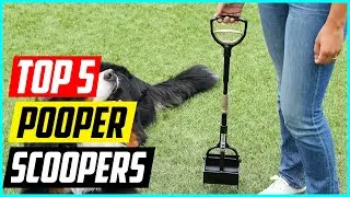 Top 5 Best Pooper Scoopers for 2024