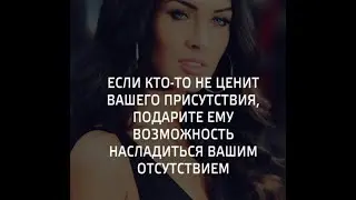 Dzen катись домой