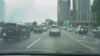 Страусы в алмате