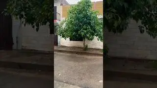 Relaxing Rain Sound | Rain Rain Go Away | Multan #shortsvideo #viral #trending @zarmeendua324 #rain