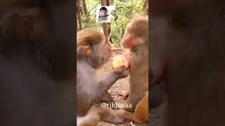 🤣🤣🤣#shorts #reels #funboy #funny_video #real_life #shorts
