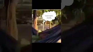 Как подать жалобу в суд в последний день