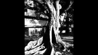 Street Photography - Ricardo Padue