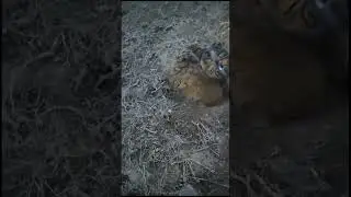 Металлоискатели в Казахстане, Алматы.