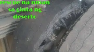 Bakbakan sa gitna ng deserto