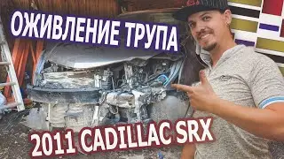 Оживление трупа. 2011 Cadillac SRX