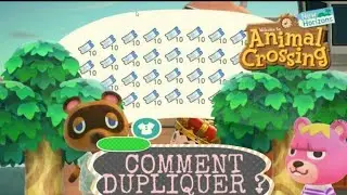 • Comment DUPLIQUER SUR {ACNH} pas PATCHER 🙃 135 Aboner ?!! 🤍🦄