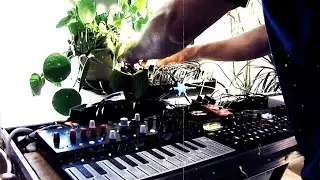 Mr Robespierre - live - old school rave on