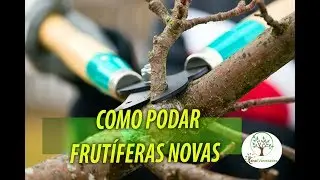 O Segredo das Frutíferas Jovens: Poda, Adubação e Combate à Mosca-da-Fruta com Sergio Semerdjian