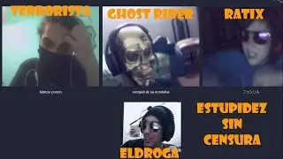 Estupidez Sin Censura