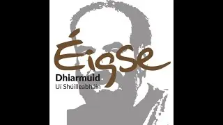 Dónal Ó hÉalaithe ag Éigse Dhiarmuid Uí Shúilleabháin 2008