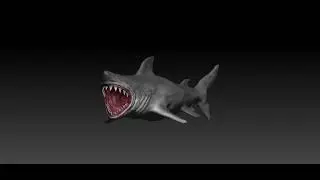 004 _ Zbrush Sculpting Study _ Shark